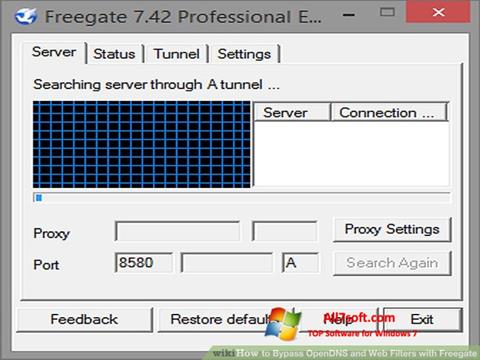 Screenshot Freegate Windows 7